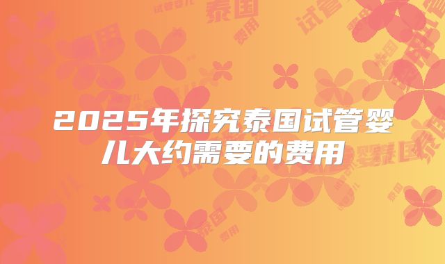 2025年探究泰国试管婴儿大约需要的费用