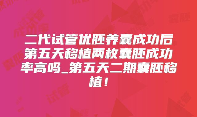 二代试管优胚养囊成功后第五天移植两枚囊胚成功率高吗_第五天二期囊胚移植！