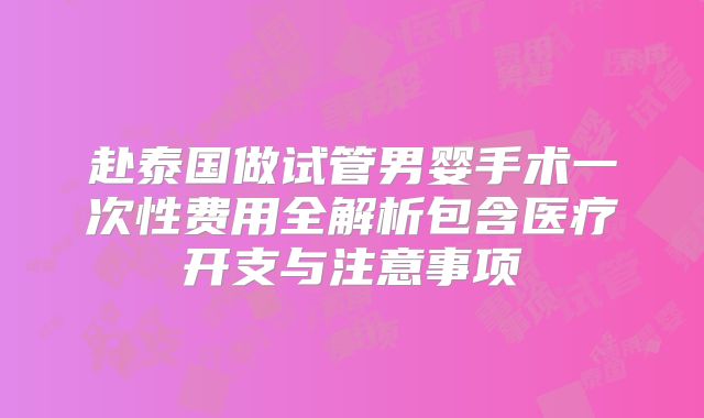 赴泰国做试管男婴手术一次性费用全解析包含医疗开支与注意事项
