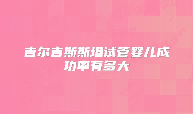 吉尔吉斯斯坦试管婴儿成功率有多大