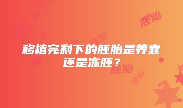 移植完剩下的胚胎是养囊还是冻胚？
