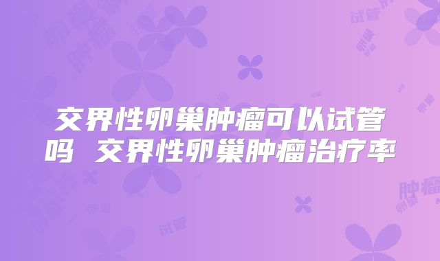 交界性卵巢肿瘤可以试管吗 交界性卵巢肿瘤治疗率