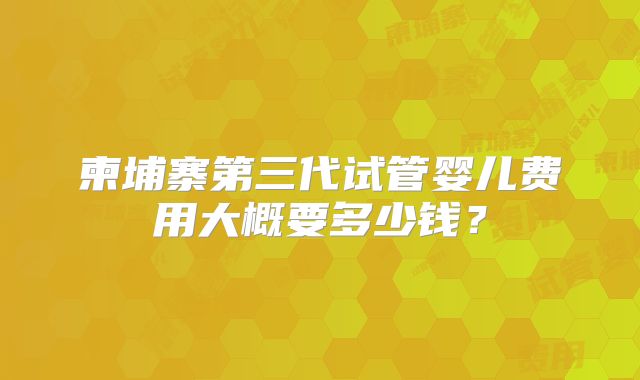 柬埔寨第三代试管婴儿费用大概要多少钱？