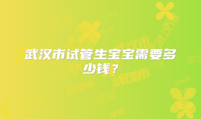 武汉市试管生宝宝需要多少钱？