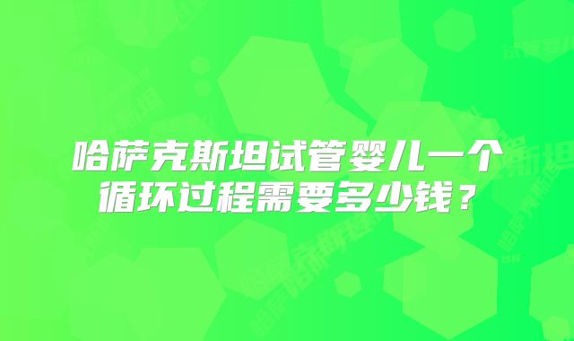 哈萨克斯坦试管婴儿一个循环过程需要多少钱？