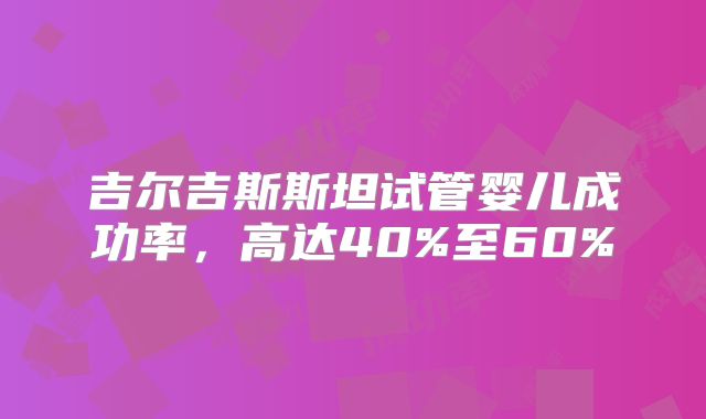 吉尔吉斯斯坦试管婴儿成功率，高达40%至60%