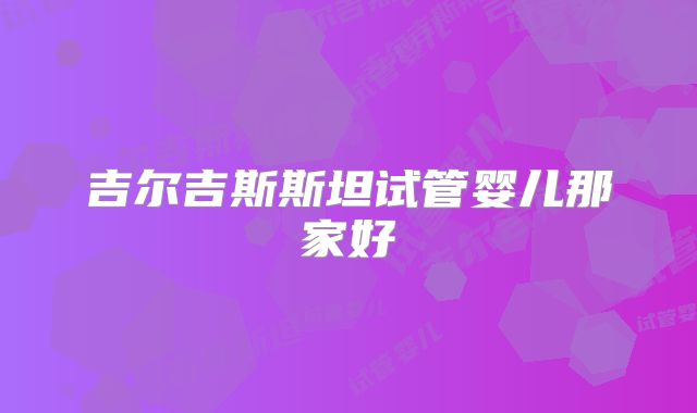 吉尔吉斯斯坦试管婴儿那家好