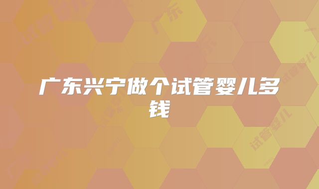广东兴宁做个试管婴儿多钱