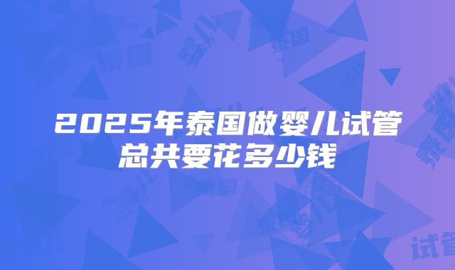2025年泰国做婴儿试管总共要花多少钱