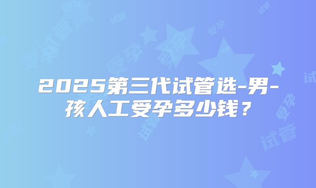 2025第三代试管选-男-孩人工受孕多少钱？