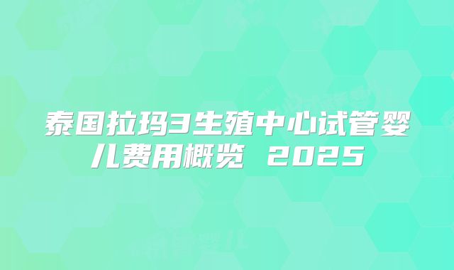 泰国拉玛3生殖中心试管婴儿费用概览 2025