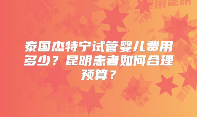 泰国杰特宁试管婴儿费用多少？昆明患者如何合理预算？