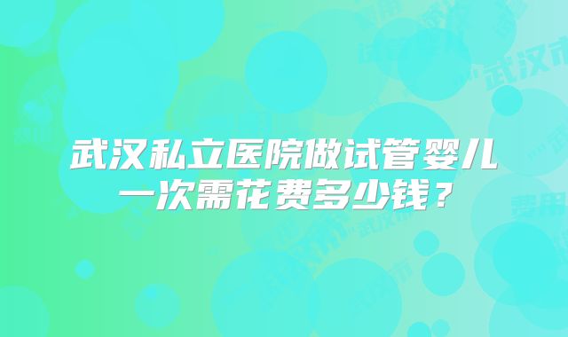武汉私立医院做试管婴儿一次需花费多少钱？