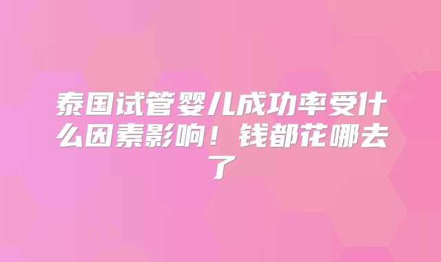 泰国试管婴儿成功率受什么因素影响！钱都花哪去了