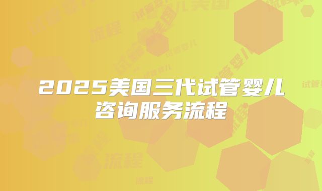 2025美国三代试管婴儿咨询服务流程