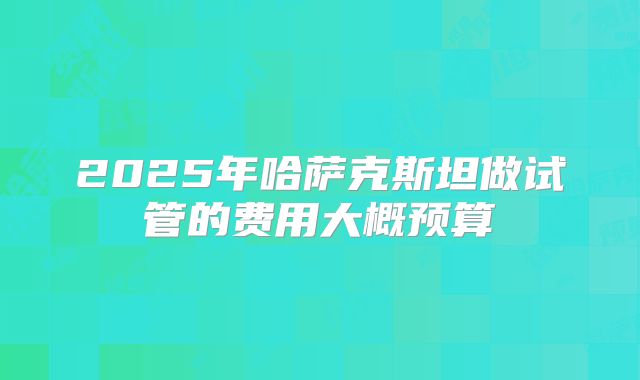 2025年哈萨克斯坦做试管的费用大概预算