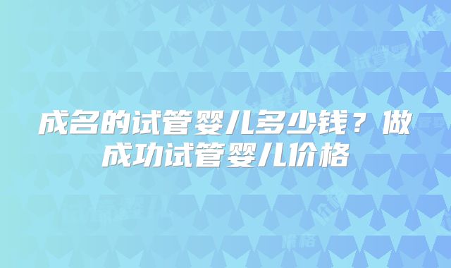 成名的试管婴儿多少钱？做成功试管婴儿价格