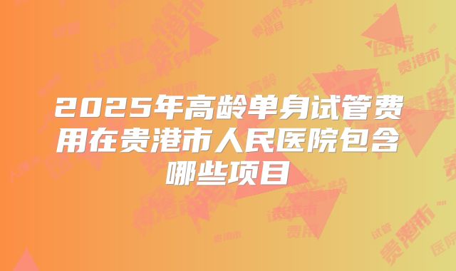 2025年高龄单身试管费用在贵港市人民医院包含哪些项目