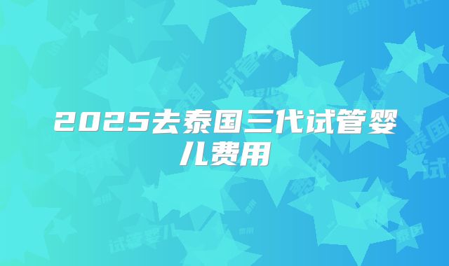 2025去泰国三代试管婴儿费用
