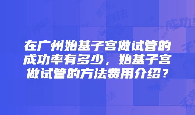 在广州始基子宫做试管的成功率有多少，始基子宫做试管的方法费用介绍？
