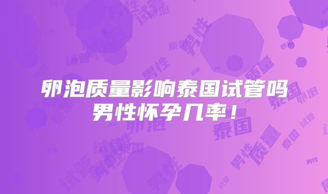 卵泡质量影响泰国试管吗男性怀孕几率！