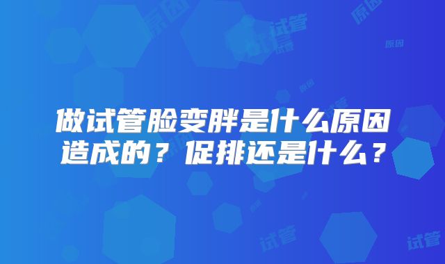 做试管脸变胖是什么原因造成的？促排还是什么？
