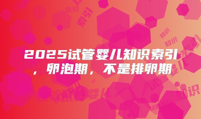 2025试管婴儿知识索引，卵泡期，不是排卵期