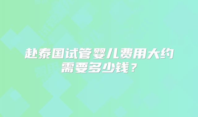 赴泰国试管婴儿费用大约需要多少钱？