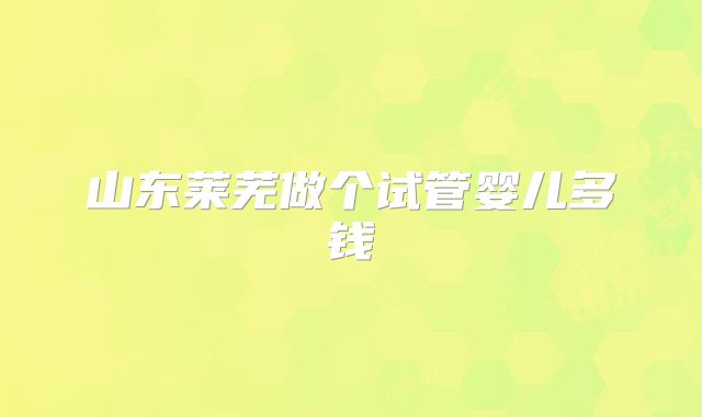山东莱芜做个试管婴儿多钱