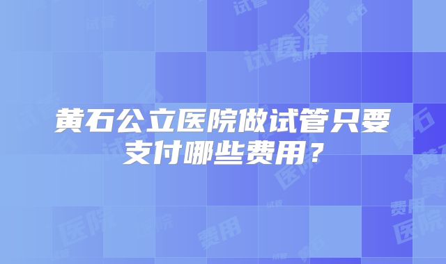 黄石公立医院做试管只要支付哪些费用？