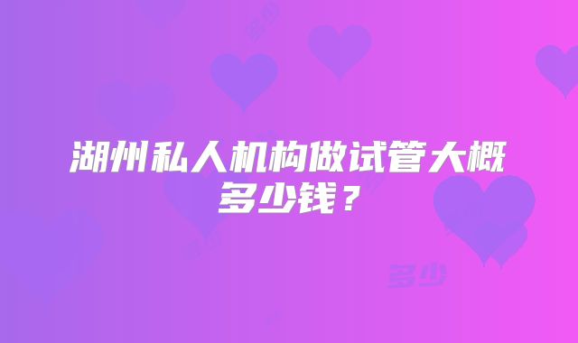 湖州私人机构做试管大概多少钱？
