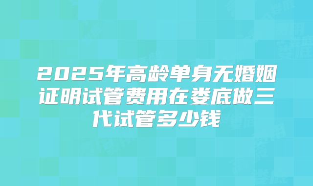 2025年高龄单身无婚姻证明试管费用在娄底做三代试管多少钱