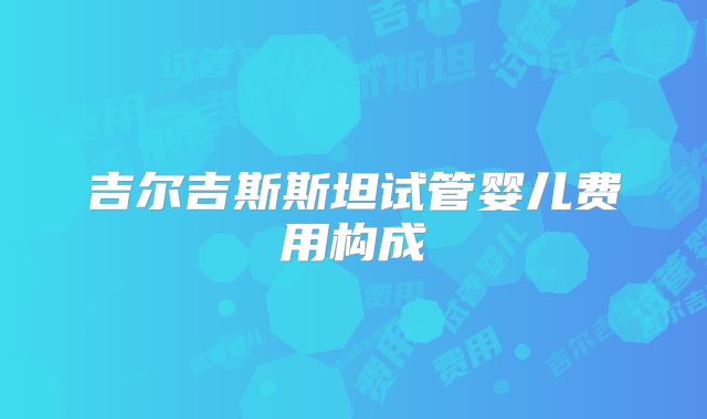 吉尔吉斯斯坦试管婴儿费用构成