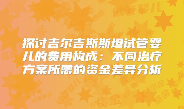 探讨吉尔吉斯斯坦试管婴儿的费用构成：不同治疗方案所需的资金差异分析