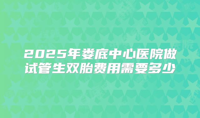 2025年娄底中心医院做试管生双胎费用需要多少