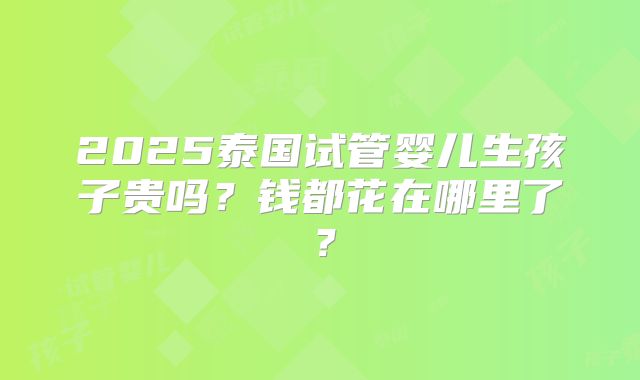 2025泰国试管婴儿生孩子贵吗？钱都花在哪里了？