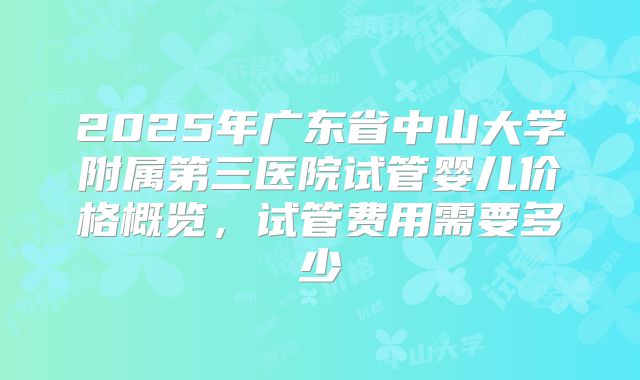 2025年广东省中山大学附属第三医院试管婴儿价格概览，试管费用需要多少