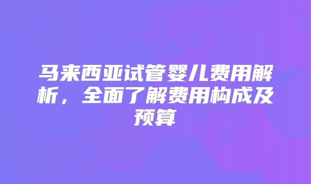 马来西亚试管婴儿费用解析,全面了解费用构成及预算