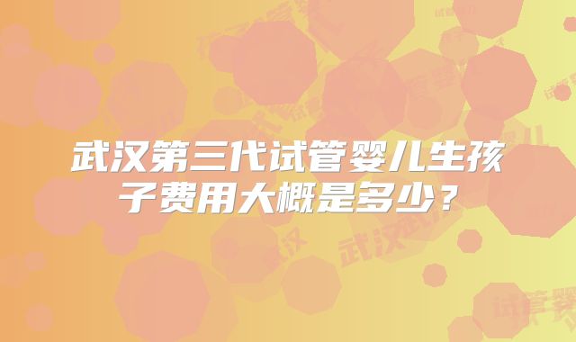 武汉第三代试管婴儿生孩子费用大概是多少？