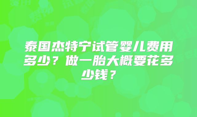 泰国杰特宁试管婴儿费用多少？做一胎大概要花多少钱？