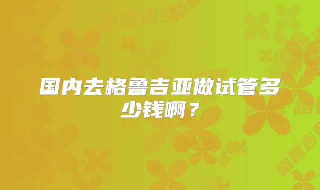 国内去格鲁吉亚做试管多少钱啊？
