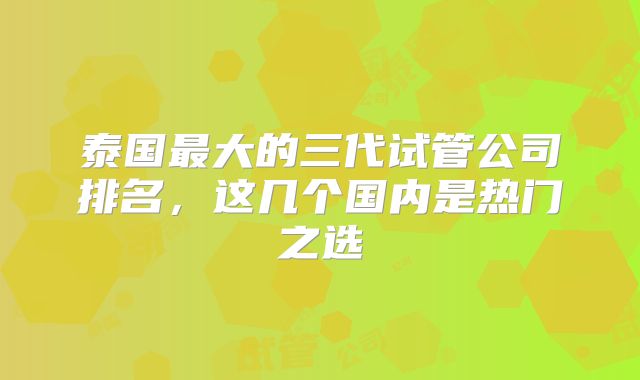 泰国最大的三代试管公司排名，这几个国内是热门之选
