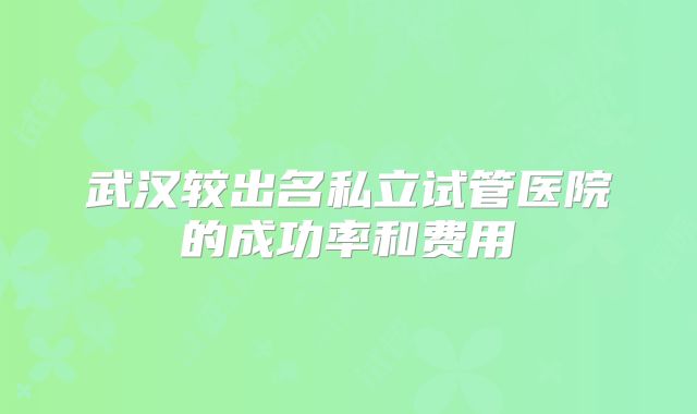 武汉较出名私立试管医院的成功率和费用
