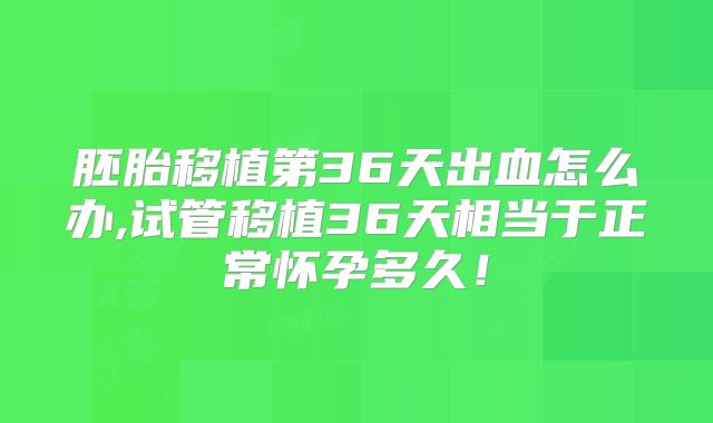 胚胎移植第36天出血怎么办,试管移植36天相当于正常怀孕多久！