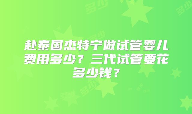 赴泰国杰特宁做试管婴儿费用多少？三代试管要花多少钱？