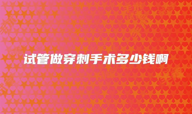 试管做穿刺手术多少钱啊