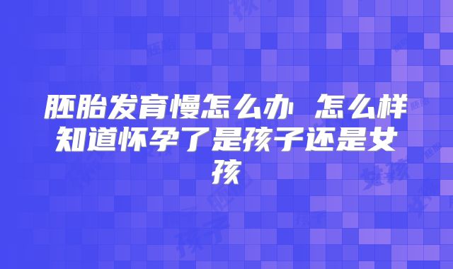 胚胎发育慢怎么办 怎么样知道怀孕了是孩子还是女孩
