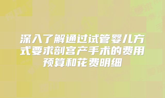 深入了解通过试管婴儿方式要求剖宫产手术的费用预算和花费明细