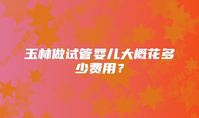 玉林做试管婴儿大概花多少费用？