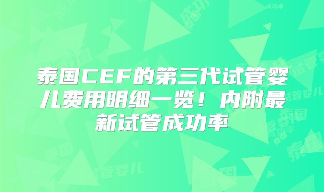 泰国CEF的第三代试管婴儿费用明细一览！内附最新试管成功率